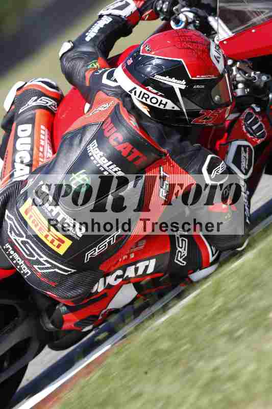 /46 11.08.2025 PADDYS-RACES-DAYS ADR/Sport-Profi/25